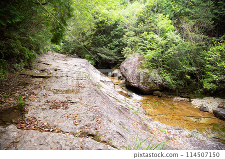 Chiiwa Gorge - Walking on huge rocks (Shinshiro City, Aichi Prefecture) 114507150