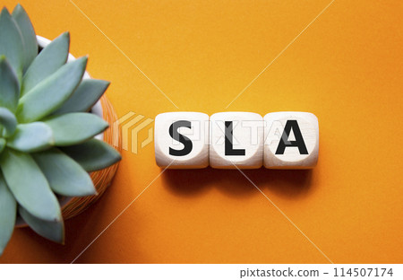 SLA - Service Level Agreement. Wooden cubes with word SLA. Beautiful orange background with succulent plant. Business and Service Level Agreement concept. Copy space. SLA - Service Level Agreement. Wooden cubes with word SLA. Beautiful orange background with succulent plant. Business and Service Level Agreement concept. Copy space. 114507174