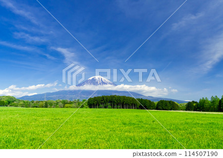 春天的富士山和草原 春天的富士山和草原 114507190