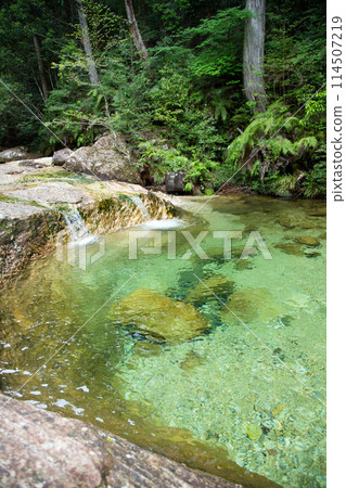 吹娃峽清流（愛知縣新城市） 114507219