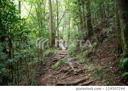 Chiiwa Gorge hiking trail (Shinshiro City, Aichi Prefecture) Chiiwa Gorge hiking trail (Shinshiro City, Aichi Prefecture) 114507244
