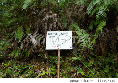 Chiiwa Gorge Information Board (Shinshiro City, Aichi Prefecture) 114507339