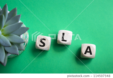 SLA - Service Level Agreement. Wooden cubes with word SLA. Beautiful green background with succulent plant. Business and Service Level Agreement concept. Copy space. 114507348