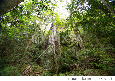 垂窪峽、垂窪山（愛知縣新城市） 114507401