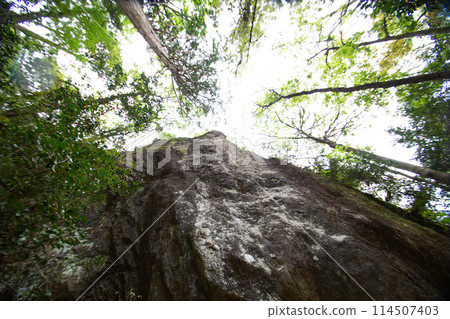 Chiiwa Gorge and Chiiwa Mountain (Shinshiro City, Aichi Prefecture) 114507403