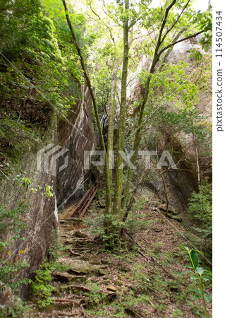 千遊窪峽（愛知縣新城市） 山道上設置的鐵梯（樓梯） 114507434