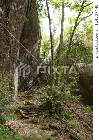 千遊窪峽(愛知縣新城市) 山道上設置的鐵梯(樓梯) 千遊窪峽(愛知縣新城市) 山道上設置的鐵梯(樓梯) 114507440