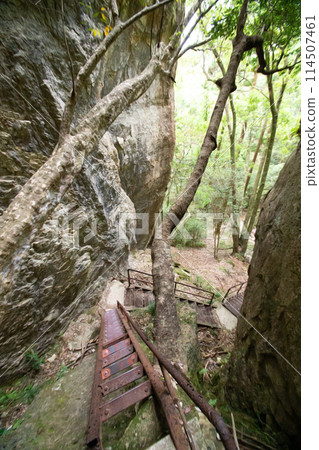 千遊窪峽（愛知縣新城市） 山道上設置的鐵梯（樓梯） 114507461