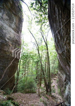 Chiiwa Gorge: Huge rock near the summit (Shinshiro City, Aichi Prefecture) Chiiwa Gorge: Huge rock near the summit (Shinshiro City, Aichi Prefecture) 114507514