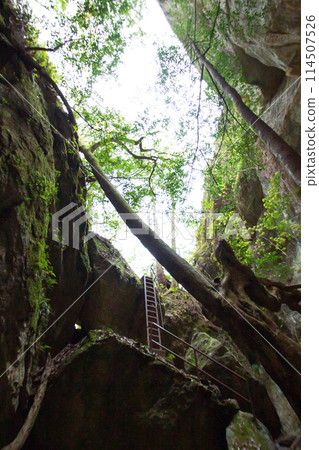 Chiiwa Gorge Tsuten Cave (Shinshiro City, Aichi Prefecture) 114507526