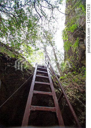 Chiiwa Gorge Tsuten Cave (Shinshiro City, Aichi Prefecture) 114507528