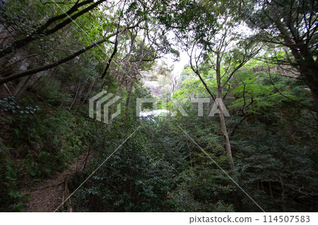 千雄峽通天門（愛知縣新城） 114507583