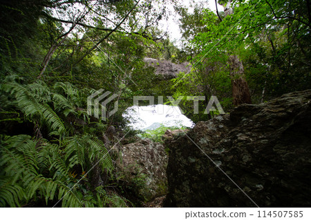 千雄峽通天門（愛知縣新城） 114507585
