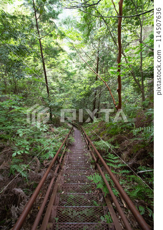 吹和峽登山步道（愛知縣新城市） 114507636