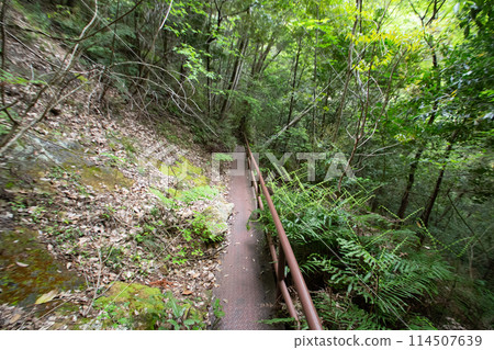 Chiiwa Gorge hiking trail (Shinshiro City, Aichi Prefecture) Chiiwa Gorge hiking trail (Shinshiro City, Aichi Prefecture) 114507639