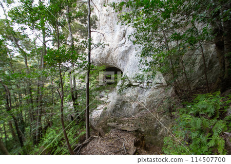 Chiiwa Gorge, Meyakuiwa Cave (Shinshiro City, Aichi Prefecture) 114507700