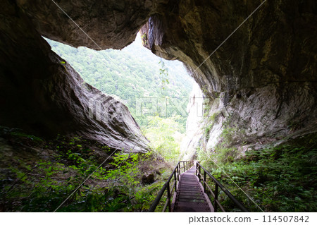 Chiiwa Gorge and Chiiwa Cave (Shinshiro City, Aichi Prefecture) Chiiwa Gorge and Chiiwa Cave (Shinshiro City, Aichi Prefecture) 114507842