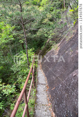 Scenery of the hiking trail at Chiiwa Gorge (Shinshiro City, Aichi Prefecture) 114507878