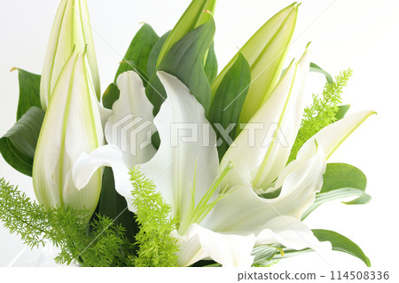 卡薩布蘭卡（白百合）花束 114508336