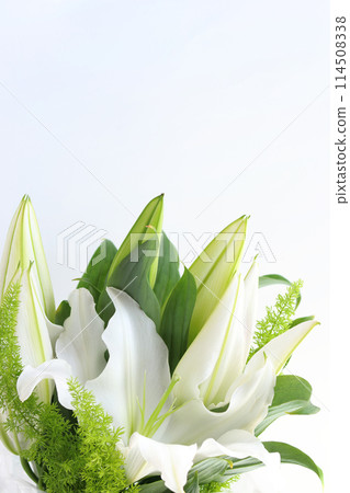 卡薩布蘭卡（白百合）花束 114508338