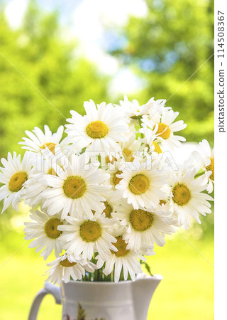 Happy mothers day gretting card; Bouquet of white daisies on a green natural background Happy mothers day gretting card; Bouquet of white daisies on a green natural background 114508367