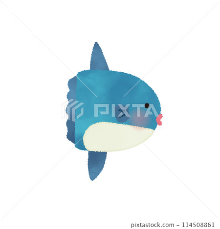 Hand-drawn vector illustration of a sunfish 114508861