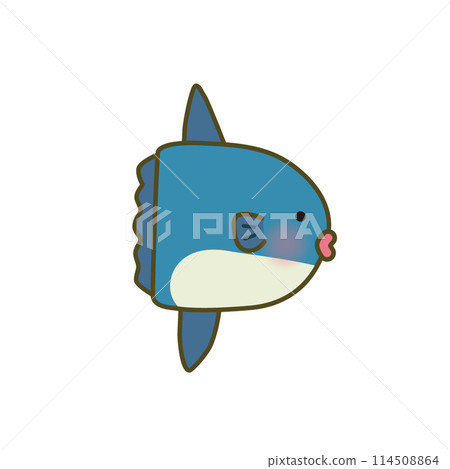 Vector illustration of sunfish 114508864