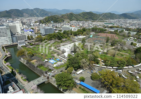 Sunpu Castle Park seen from the north side of the Mount Fuji observation lobby on the 21st floor of the Shizuoka Prefectural Office Annex 114509322
