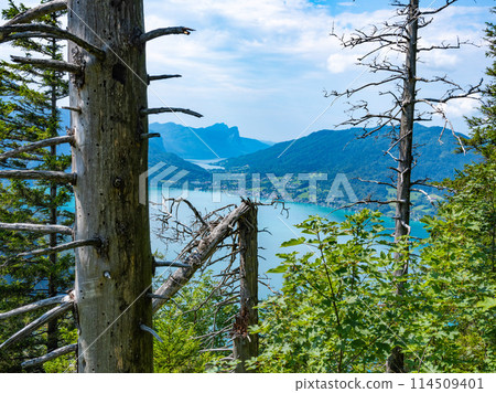 View of Attersee lake from Klettersteig mountain, Austria. Attersee Lake from alp mountain Klettersteig. Salzburgerland, Austria. 114509401