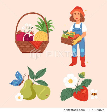 Hand drawn flat fruit harvest illustration set collection Hand drawn flat fruit harvest illustration set collection 114509824