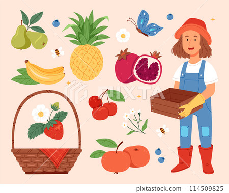 Hand drawn flat fruit harvest original elements set collection 114509825