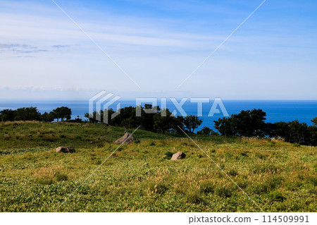 Looking down at the sea from the Shiretoko hills 114509991