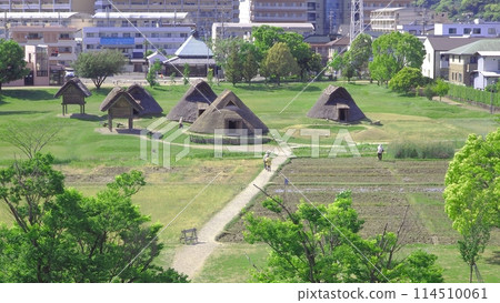 Lake remains 114510061