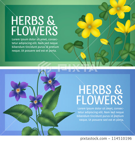 Realistic herbs horizontal banner template set collection Realistic herbs horizontal banner template set collection 114510196