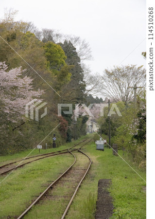 日本的春天風景，鐵軌與鄉村線上的櫻花融為一體 114510268