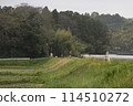 Japanese countryside landscape, local railway line tracks and railroad crossings going through the forest 114510272