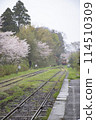 Japanese spring scenery, rural train, cherry blossoms and railroad tracks 114510309