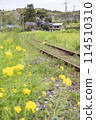 Japanese countryside scenery, a curved single-track local railway line and rape blossoms 114510310