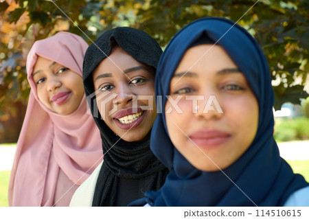 Sisterhood Snapshot: Middle Eastern Muslim Women in Hijab Capturing Unity 114510615