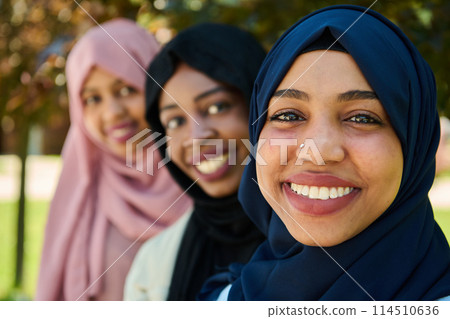 Sisterhood Snapshot: Middle Eastern Muslim Women in Hijab Capturing Unity 114510636