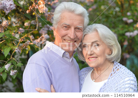 Portrait of beautiful senior couple by lilacs in the park 114510964