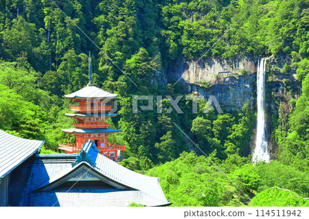 [Wakayama Prefecture] Seiganto-ji Temple's three-story pagoda and Nachi Falls on a clear day (Kumano Nachi Taisha Shrine) 114511942