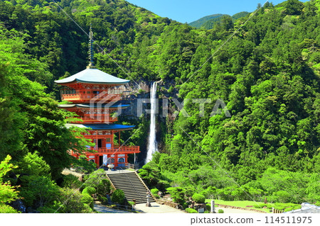 [Wakayama Prefecture] Seiganto-ji Temple's three-story pagoda and Nachi Falls on a clear day (Kumano Nachi Taisha Shrine) 114511975