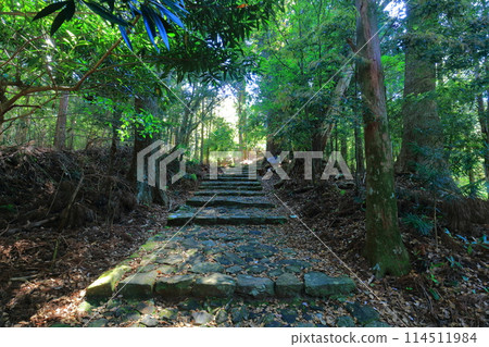 [Wakayama Prefecture] Daimonzaka on the Kumano Kodo trail 114511984