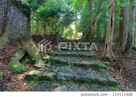 [和歌山縣] 熊野古道大門坂 114511986