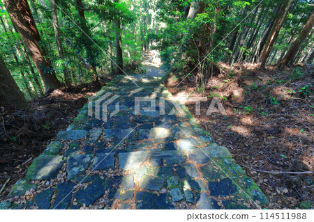 [和歌山縣] 熊野古道大門坂 114511988