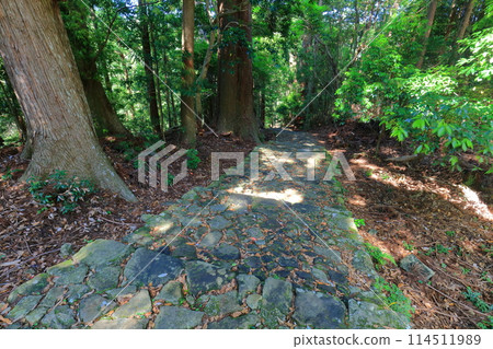 [Wakayama Prefecture] Daimonzaka on the Kumano Kodo trail 114511989