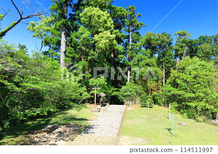 [Wakayama Prefecture] Daimonzaka slope on the Kumano Kodo trail, lush with fresh greenery 114511997