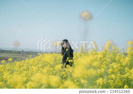 Rape flower field and woman 114512260