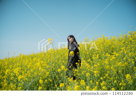 Rape flower field and woman 114512280